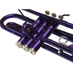Taylor Collins TCTR-09 PR Morada