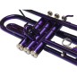 Taylor Collins TCTR-09 PR Morada