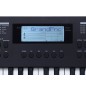 Medeli MK49/BK teclado 49 teclas