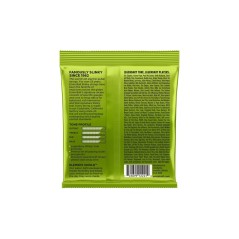 Ernie Ball 2221 Regular Slinky  10-46