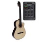 Antonio De Toledo F17 Palosanto EQ Fishman CW