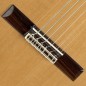 Alhambra 4P E1 (Fishman Clasica M)