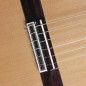 Alhambra 10 Premier + estuche profesional