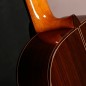 Alhambra LP + estuche profesional