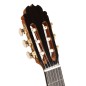 Alhambra Luthier India nitro + estuche profesional