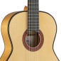 Alhambra 10Fc + estuche profesional