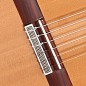 Alhambra 10FP Piñana + estuche profesional