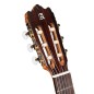 Alhambra Iberia Ziricote CTW E8