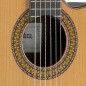 Alhambra 9P CW E8 + Estuche profesional