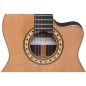 Alhambra Guitarra Crossover CS-3 CW E8 + Funda acolchada