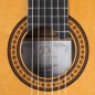 Alhambra Luthier Aniversario + Estuche profesional