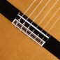 Alhambra Luthier Aniversario + Estuche profesional