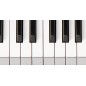 Kawai CN-301 Palisandro premium