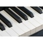 Kawai CA-401 Blanco premium
