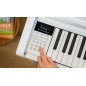 Kawai CA-501 Blanco premium