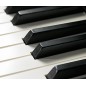 Kawai CA-701 Negro premium