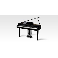 Kawai DG-30