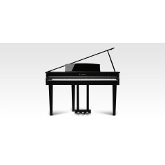 Kawai DG-30