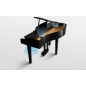 Kawai DG-30