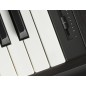 Kawai DG-30