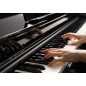 Kawai DG-30