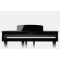 Kawai DG-30