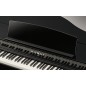 Kawai DG-30
