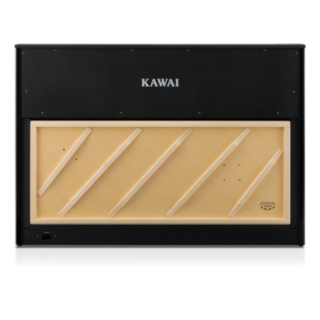 Kawai CA-901 PE Negro brillo