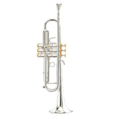 Stomvi Forte Sib con Tapones Oro