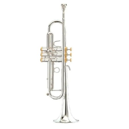 Stomvi Forte Sib con Tapones Oro