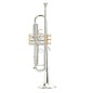 Stomvi Forte Sib con Tapones Oro