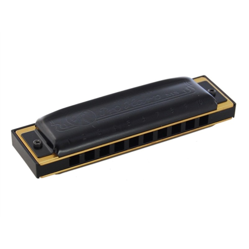Hohner Pro Harp 20V 562/20 (F#)