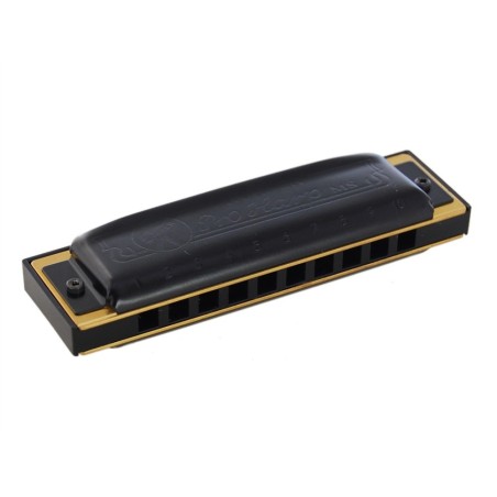 Hohner Pro Harp 20V 562/20 (F#)