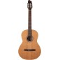 Godin Etude