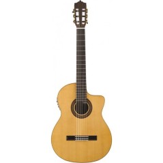 Benitez Palosanto CW Fishman