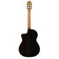 Benitez Palosanto CW Fishman